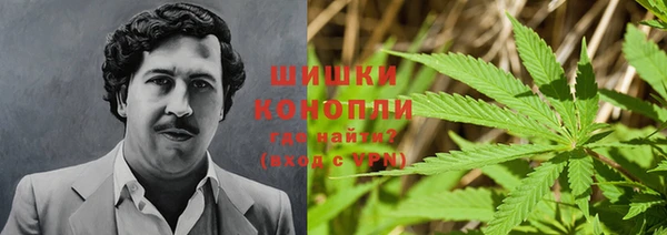 гашик Нефтекумск