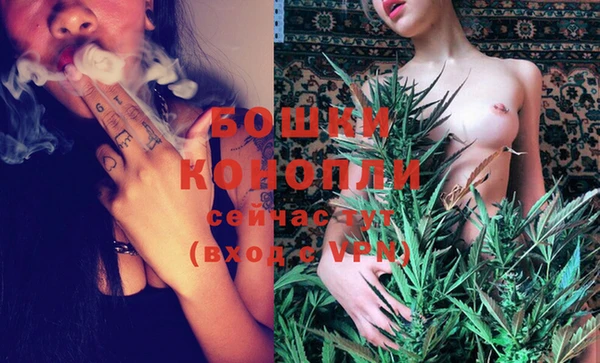 гашик Нефтекумск