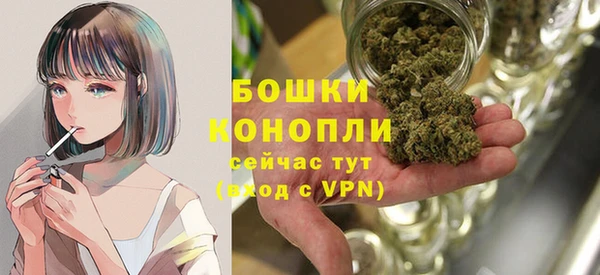 гашик Нефтекумск