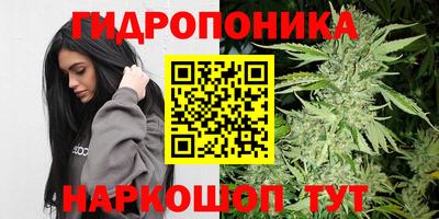 бошки Гусев
