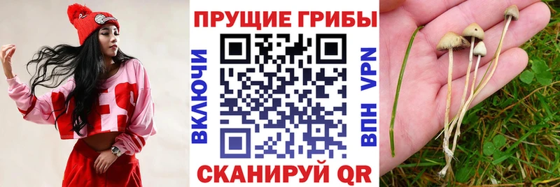 Псилоцибиновые грибы мухоморы  Кимры 