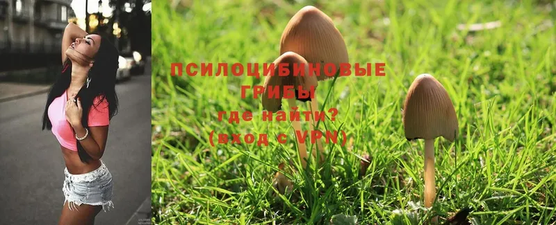 Галлюциногенные грибы Magic Shrooms  купить наркотик  Кимры 