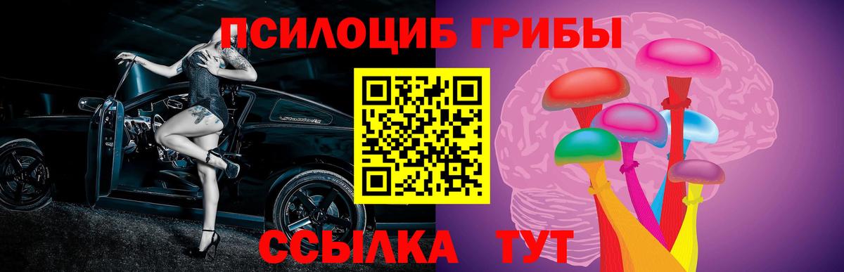 Псилоцибиновые грибы Cubensis Кимры